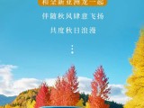 UPAY钱包(中国区) - 官方网站